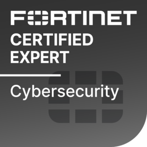 cybersecurity hafizit
